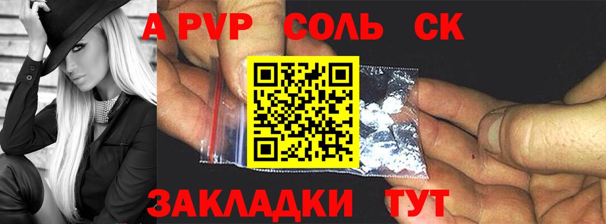 A PVP СК КРИС Вольск